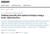 重大医学突破：瘫痪12年后，患者实现自主控制行走