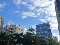 这些年轻人，热衷“批发”黄金