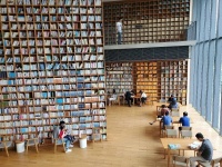 Kindle电子书店将退出中国，难逃“死于安乐”