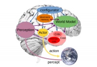刚刚，他炮轰GPT活不过5年，反手抛出“世界模型”