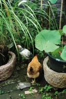 住在北京郊外：月租2800，像东北农村