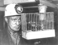 如果世界少点“自私资本主义”，抑郁焦虑的人就会少一点