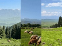 美团：端午旅游预定量同比增长近600%