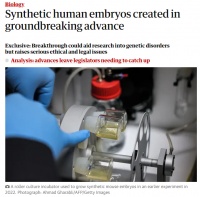 全球首个干细胞合成人类胚胎模型，会引发伦理危机吗？