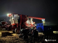 雨水中追麦穗的人