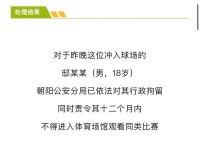 冲进球场的梅西粉丝：热爱之名难掩“越界”事实