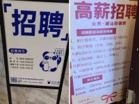 “应聘”了20家店员，我看到最真实的餐厅缺人场景