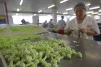 海归企二代，扎进千亿猫狗粮“大战”