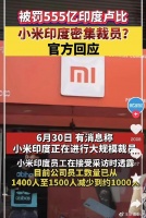 小米印度裁员背后：印度已成死局，站着挣钱越来越难