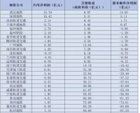 在中国，哪个城市的地铁最赚钱？