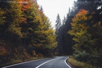 海康威视：我们短板不多，平和对待大模型热，海康一直在投入