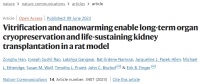 器官移植重大进展，冷冻100天的肾脏带来新生