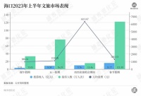 送走“最强外援”，海南慌不慌？