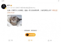 努比亚Z50S Pro手机开始预热：超越 1 英寸的拍照效果，7 月发布