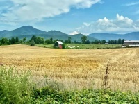 美国政客能拦得住中国人买房买地吗？