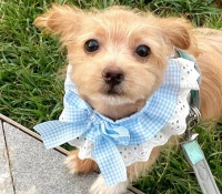 如何建立“多维度快乐”？