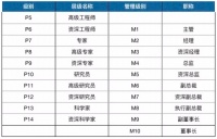 大厂高P，走下神坛