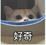 最近太费水费电了！一张小卡片就能让水表、燃气表秒停？