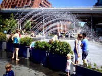 极端天气笼罩全球，引发多重经济影响