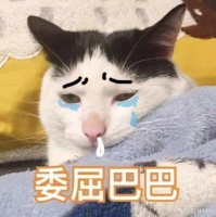 蓝牙耳机真的很容易丢啊 我就丢过一次……