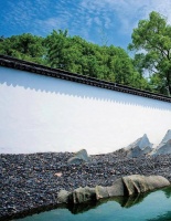 普洱茶的“美力”加速