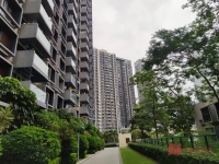 超5万人围观，深圳两套房拍出上亿元