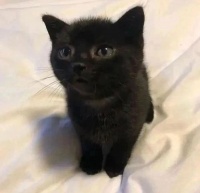 最近微信传出不少实用功能即将推出……