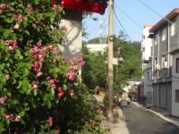 县城暮年女性的婚姻，空空荡荡