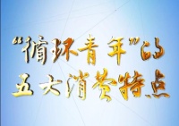 理论一点点｜“循环青年”的五大消费特点