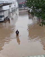 书库无保险、损失或达百亿码洋，百家图书公司前路艰难