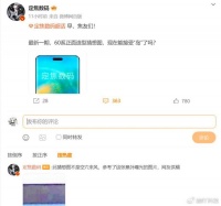 华为Mate60 Pro再次浮出水面：灵动岛设计更清晰，并有鸿蒙OS加持