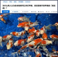 为什么有人认为安卓手机拍照比苹果强，但又觉得iPhone拍照更真实？