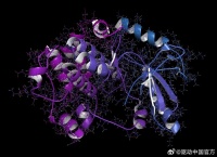 消息称Meta解散蛋白质折叠团队 转战商业人工智能