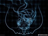 伴随荣耀老手机将升级鸿蒙4.0，华为专为全品类提供升级，用心了