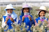 数字化农业来袭！佳沃集团全面助力乡村振兴建设