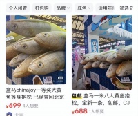 盒马上市前最后的狂欢：疯狂拓店，“三驾马车”悄悄下沉