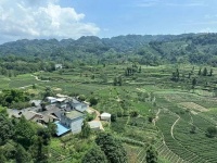 实探雅安“致命”鱼鳞坝：7条生命是如何被夺走的？