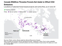 山火烧毁碳汇林，企业的“未来贷款”怎么办？