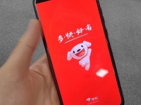 京东二季度：降了本也增了效，成了！