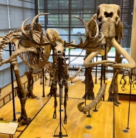 亲历海外游学后，发现处处是天坑