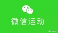 建议明天把微信步数关一下，把单身狗解放了