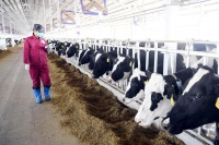 雀巢：坚持长期主义 以创新按下发展“加速键”