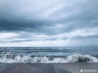 4600亿，孙正义“杀疯”了