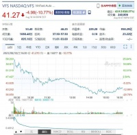 一日暴跌44%，越南造车新势力被“打回原形”？