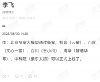 国内首批“合法AI”备案，用户价值却成谜