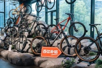 不一样的 “中青年”拼多多，高质量发展背后有哪些玄机？