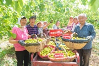 拼多多，不是什么都想要