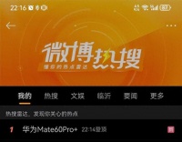 Mate60系列还有大招：两款超大杯产品将是王炸
