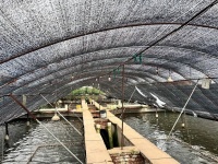 核污水排海，中国鳗鱼之乡的担忧