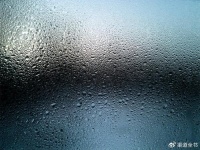 公司如何搭建自己的网站